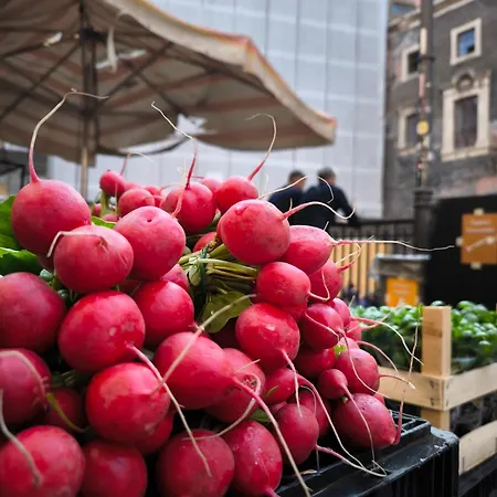 Opificio 11 House Appartement