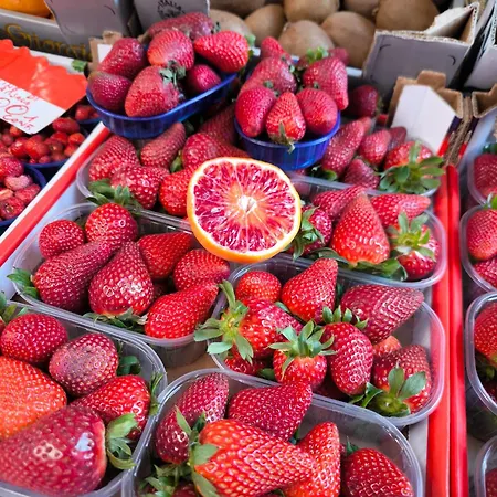 Appartement Opificio 11 House