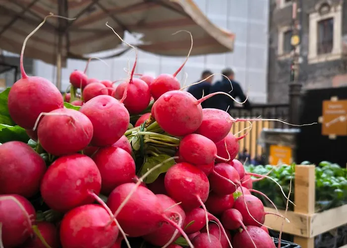 Opificio 11 House 公寓