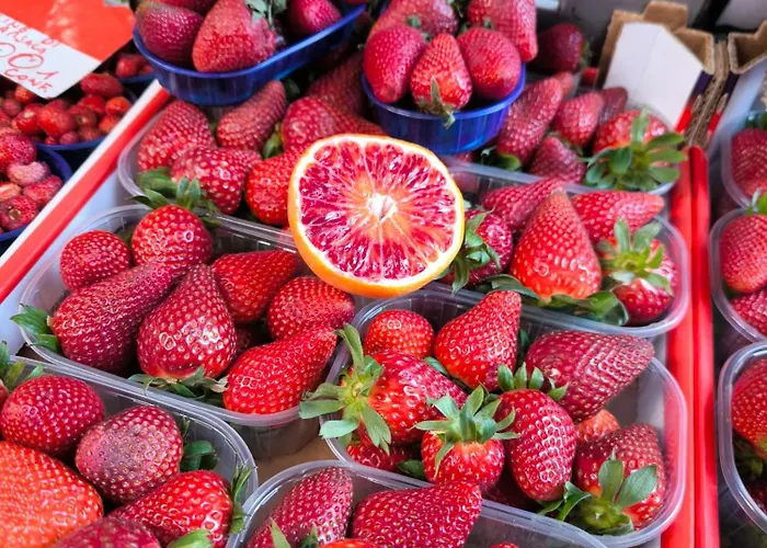 公寓 Opificio 11 House