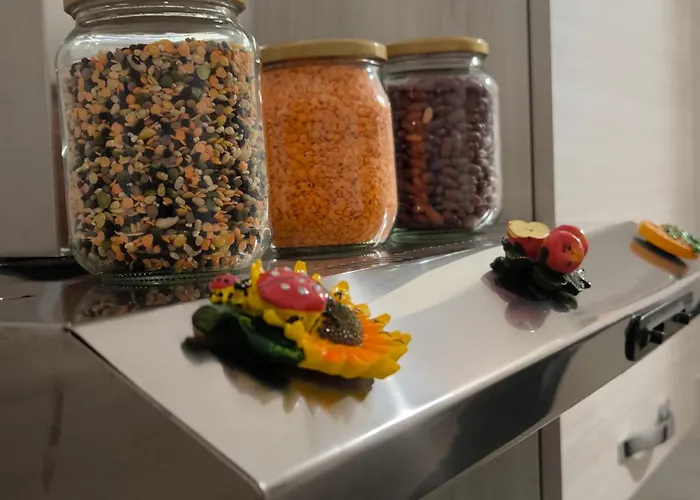 公寓 Opificio 11 House